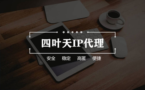 【湖北代理IP】如何快速搭建代理IP？怎么检查代理的效果？